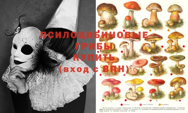 спиды Балахна