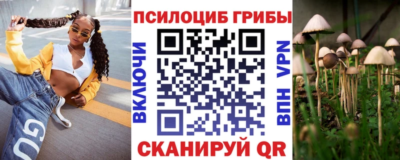 Псилоцибиновые грибы GOLDEN TEACHER  продажа наркотиков  Сердобск 